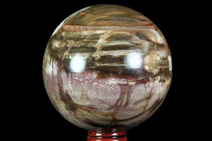 Colorful Petrified Wood Sphere - Madagascar #71419